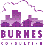 Burnes Consulting